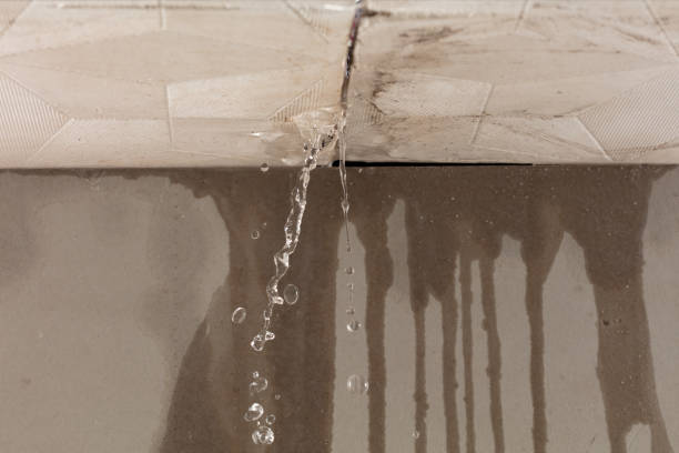 Professional Structural Drying technician working in Cedar Park, TX